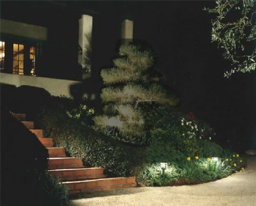 Brick steps at night with the shrubs and flowers on either side lit.